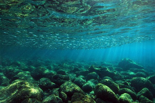 FMazeas site tupasurf_012.jpg
